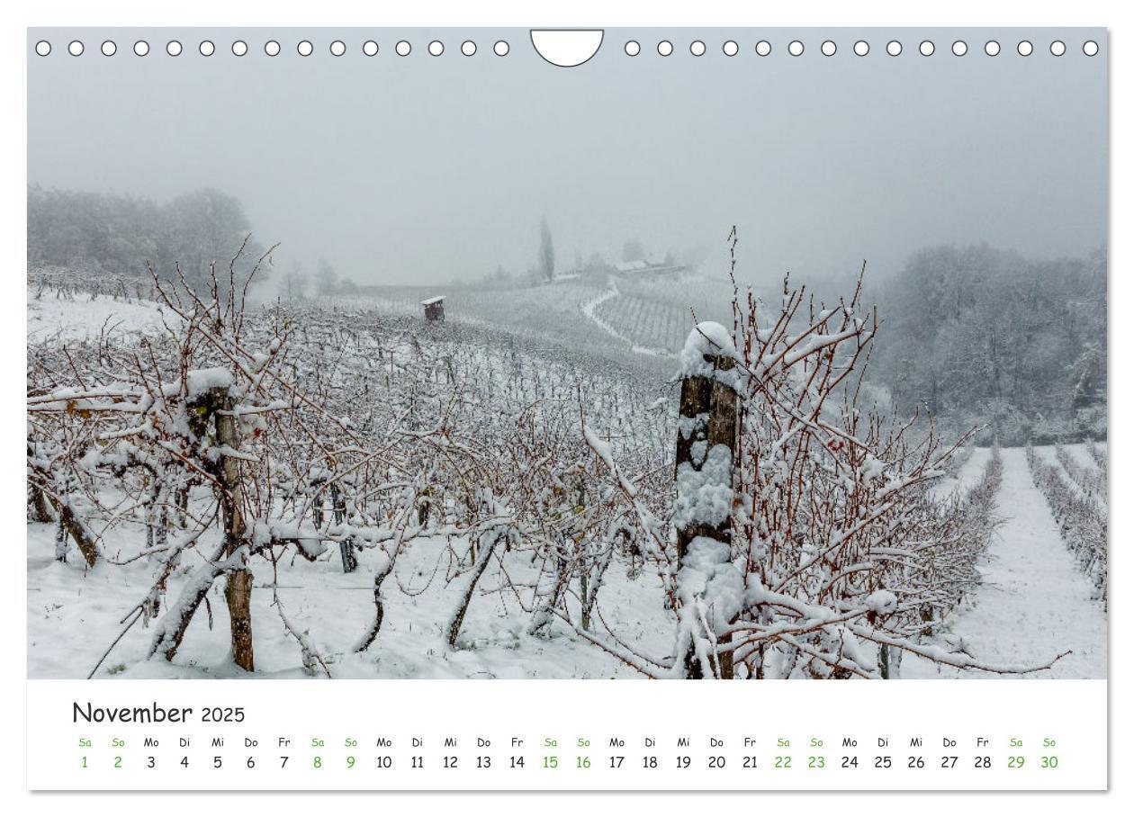 Bild: 9783435042357 | Südsteiermark365 (Wandkalender 2025 DIN A4 quer), CALVENDO...