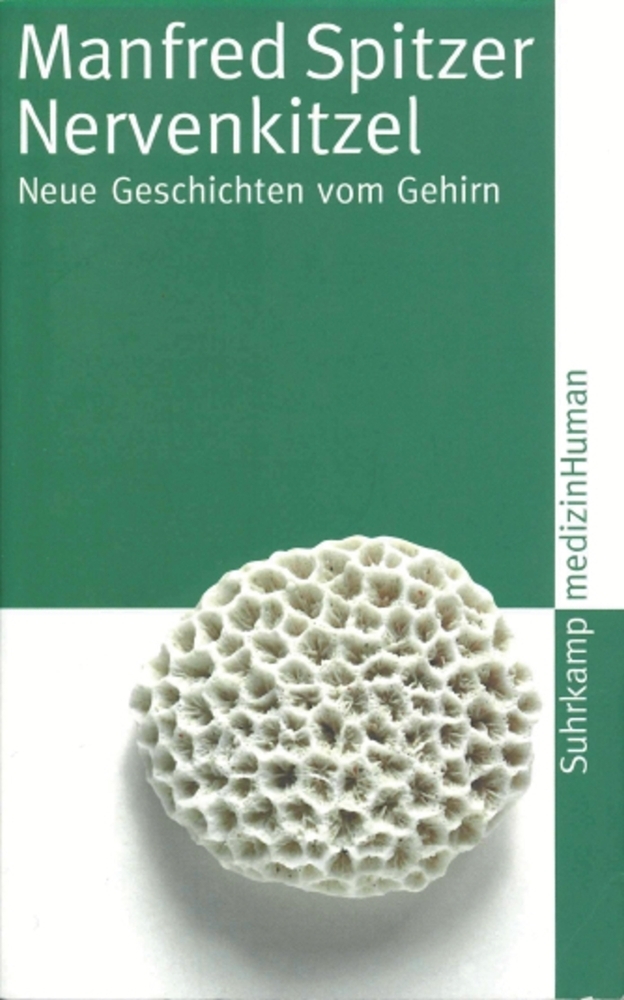 Cover: 9783518458204 | Nervenkitzel | Neue Geschichten vom Gehirn | Manfred Spitzer | Buch