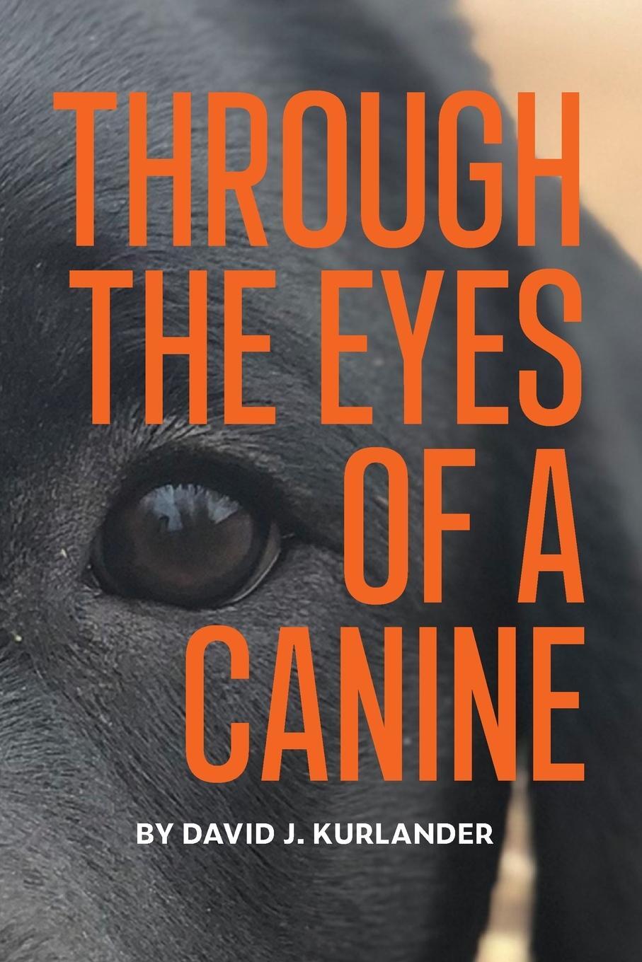 Cover: 9781737218715 | Through the Eyes of a Canine | David J. Kurlander | Taschenbuch | 2022