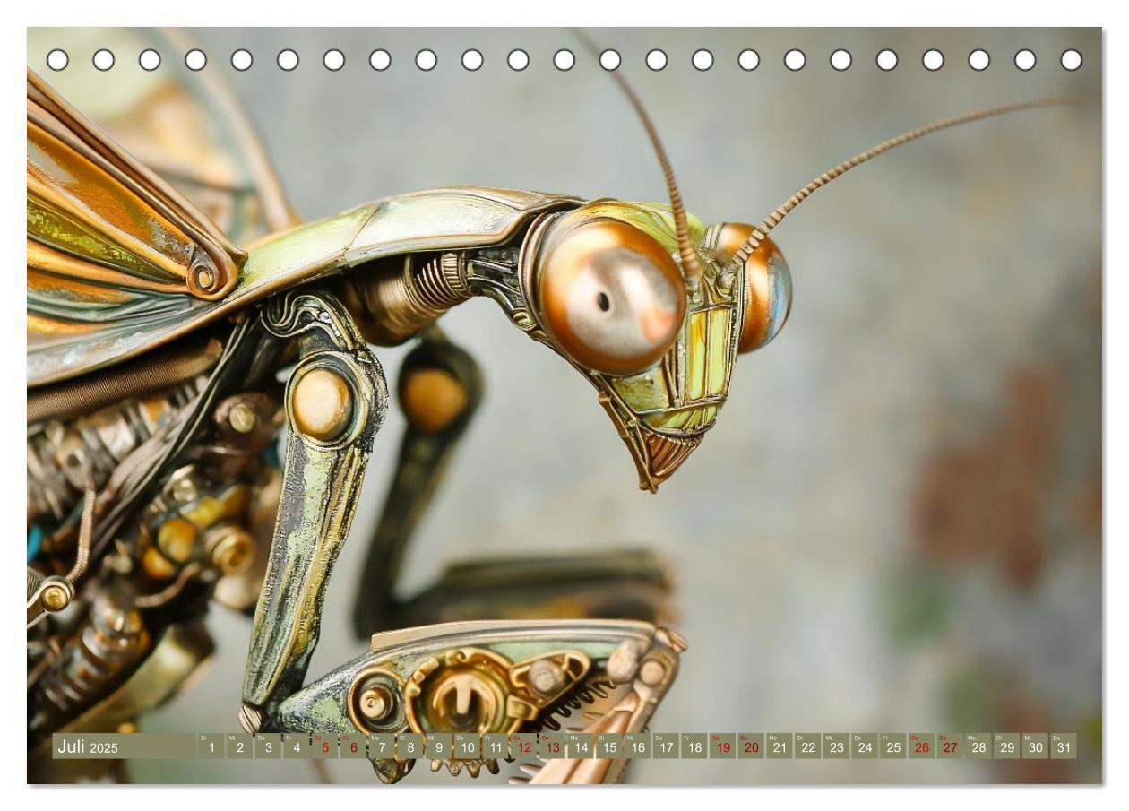 Bild: 9783457185841 | Die fantastische Welt der Steampunk-Insekten (Tischkalender 2025...