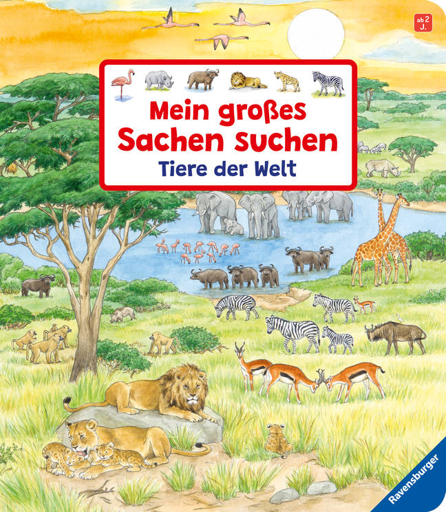 Cover: 9783473436477 | Mein großes Sachen suchen: Tiere der Welt | Susanne Gernhäuser | Buch
