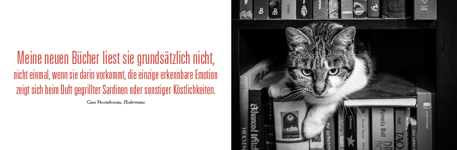 Bild: 9783747204979 | Literarischer Tischkalender Katzen 2024 | ars vivendi Verlag | 53 S.