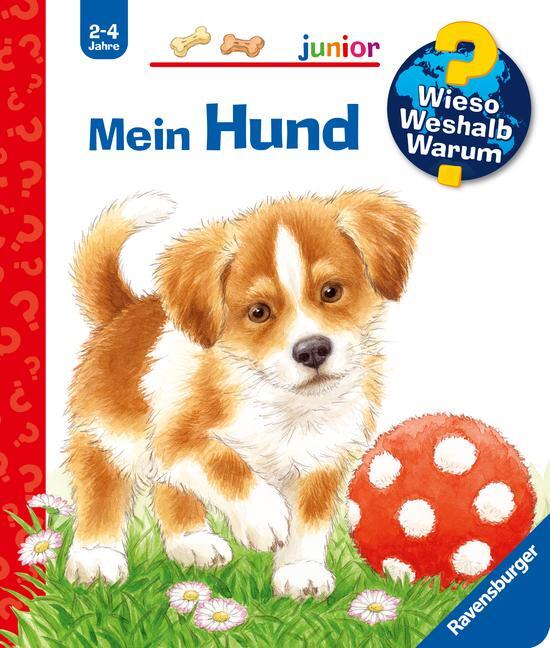 Cover: 9783473328543 | Wieso? Weshalb? Warum? junior, Band 41: Mein Hund | Patricia Mennen