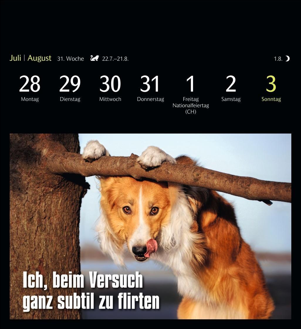 Bild: 9783840035012 | Animal Memes Postkartenkalender 2025 - 53 tierisch witzige Postkarten