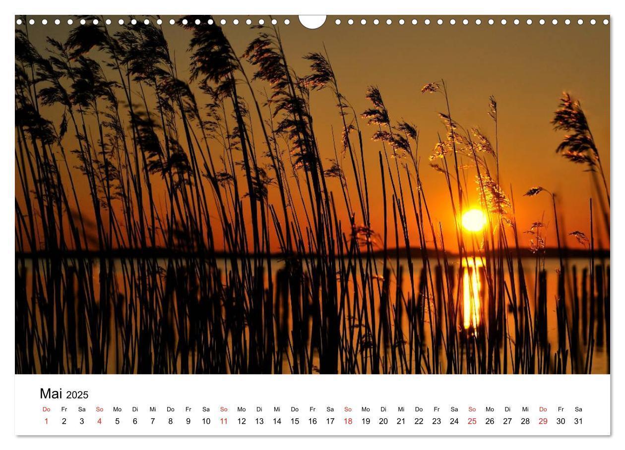 Bild: 9783435837274 | Insel Rügen (Wandkalender 2025 DIN A3 quer), CALVENDO Monatskalender