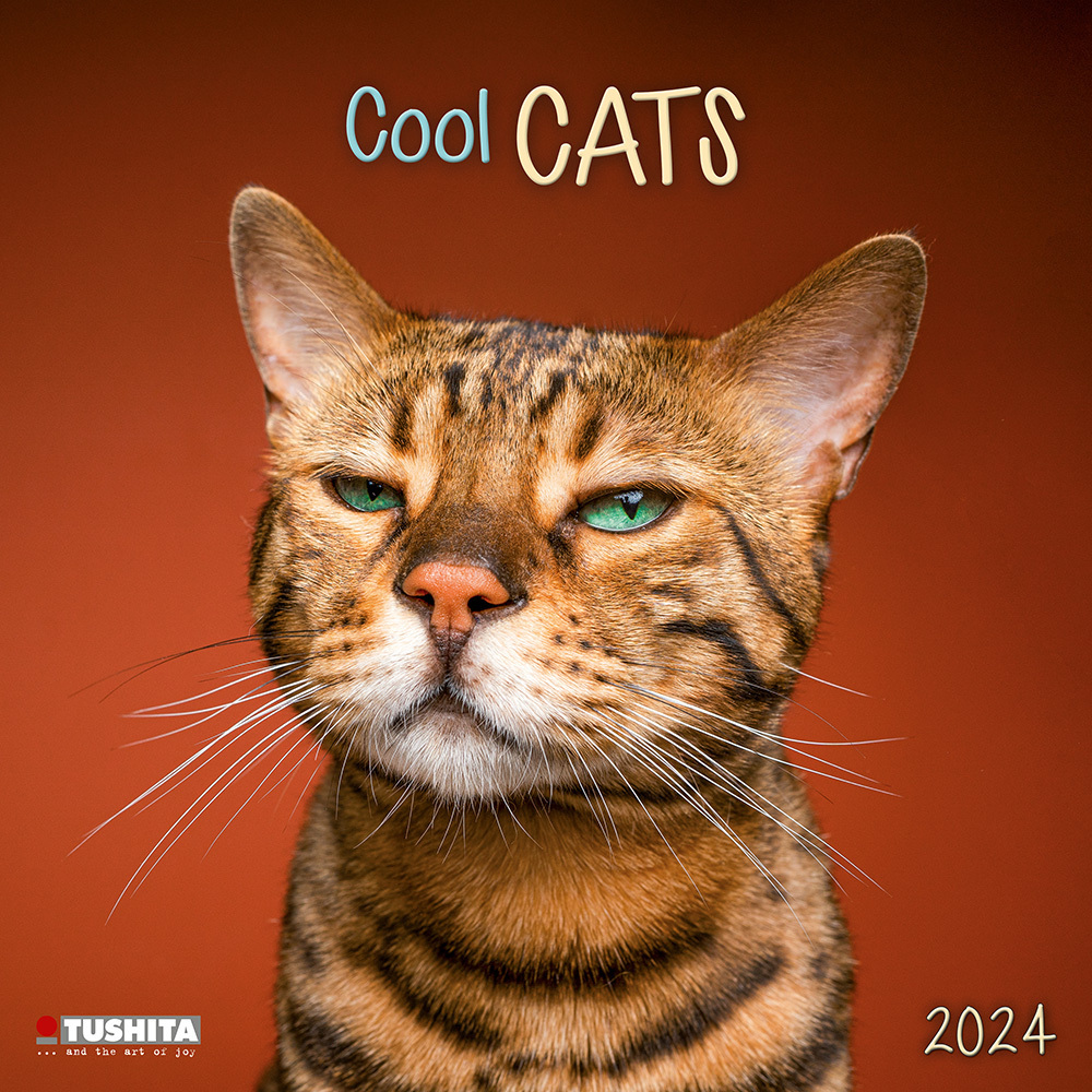 Cover: 9783959292559 | Cool Cats 2024 | Kalender 2024 | Kalender | Drahtheftung | 28 S.