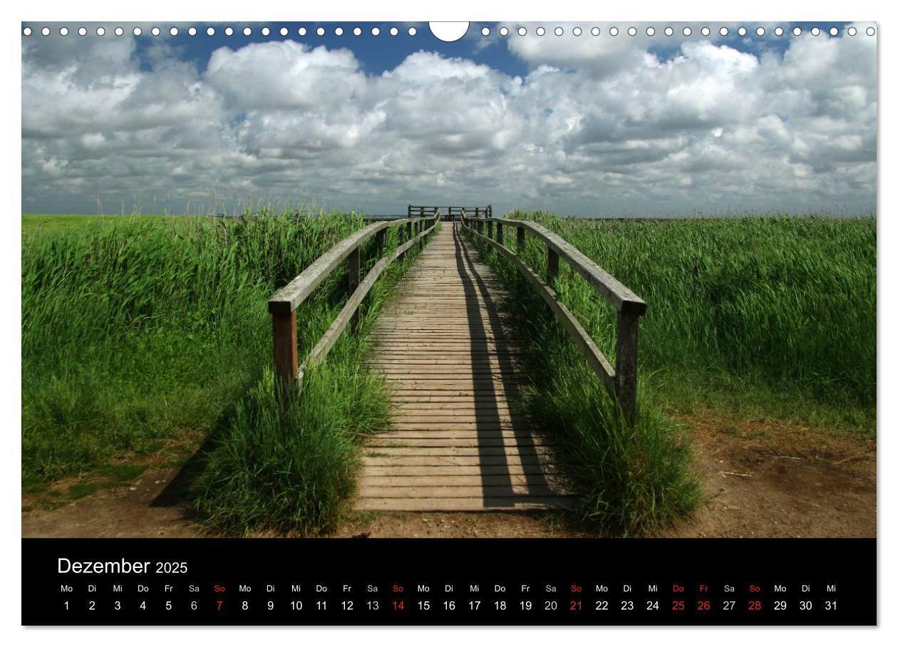 Bild: 9783435588633 | Amrum, Perle der Nordsee (Wandkalender 2025 DIN A3 quer), CALVENDO...