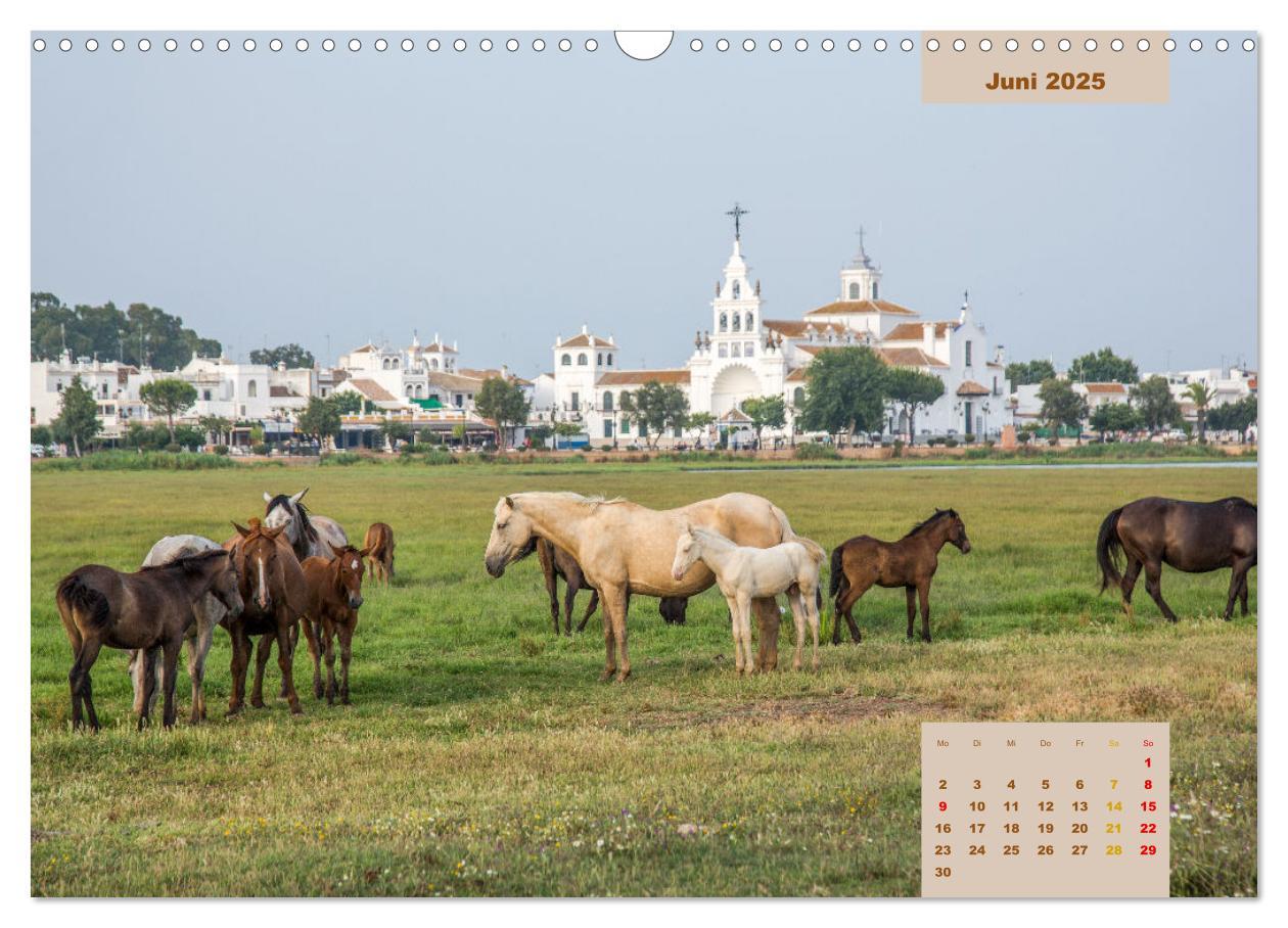 Bild: 9783435105540 | Pferde - Andalusiens wilder Westen (Wandkalender 2025 DIN A3 quer),...