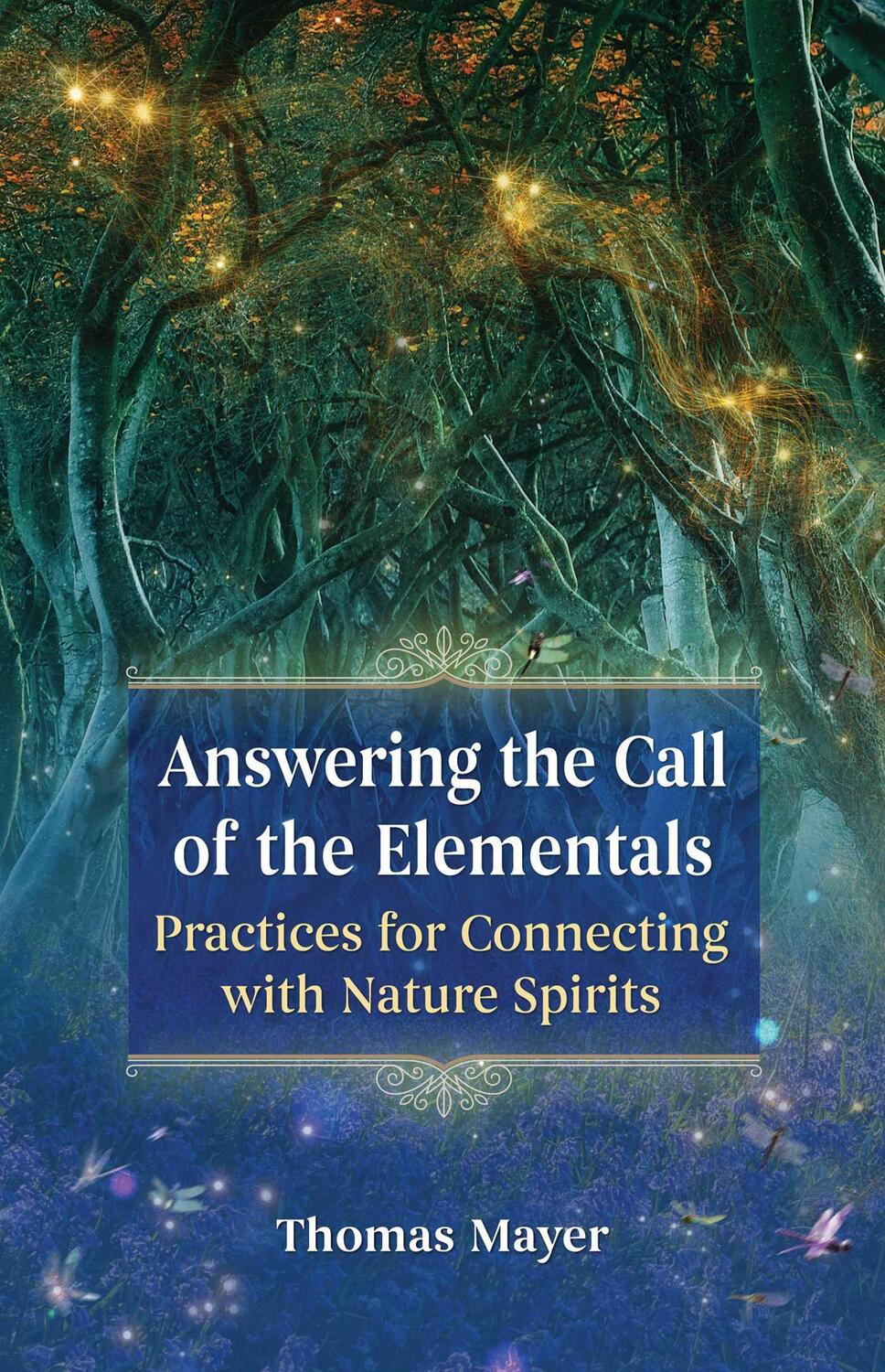 Cover: 9781644112144 | Answering the Call of the Elementals | Thomas Mayer | Taschenbuch