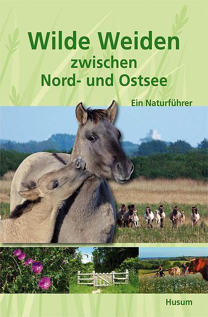 Cover: 9783898765565 | Wilde Weiden zwischen Nord- und Ostsee | Ein Naturführer | Neumann