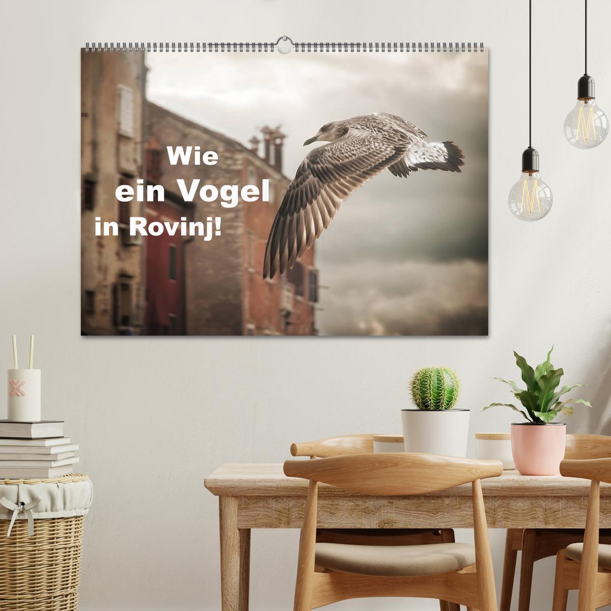 Bild: 9783435570232 | Wie ein Vogel in Rovinj! (Wandkalender 2025 DIN A2 quer), CALVENDO...