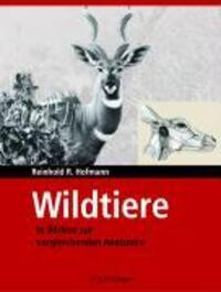 Cover: 9783794402144 | Wildtiere in Bildern zur Vergleichenden Anatomie | Reinhold R. Hofmann