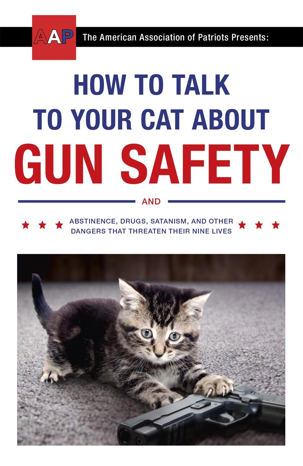 Cover: 9781473661608 | How to Talk to Your Cat About Gun Safety | Zachary Auburn | Buch