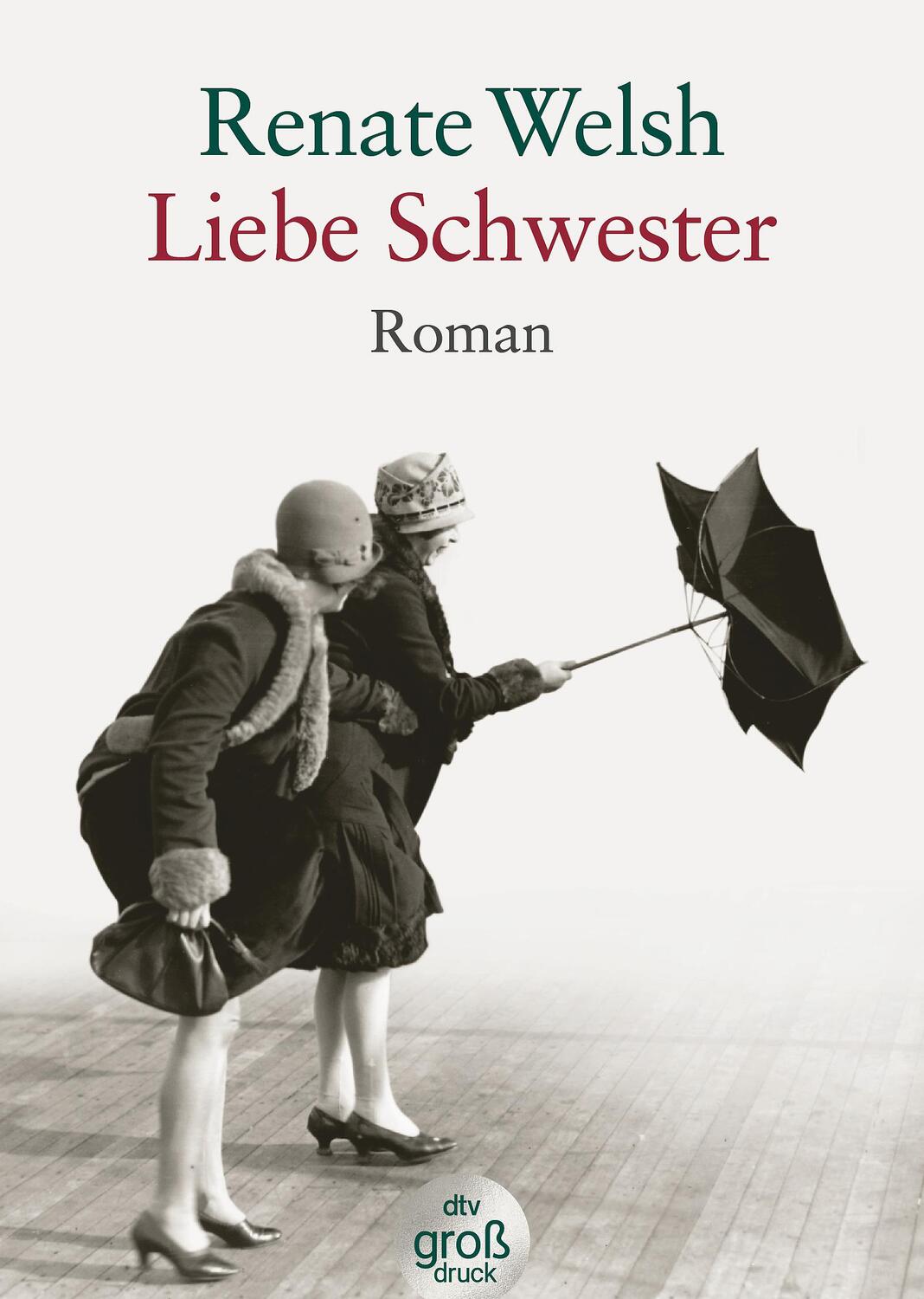 Cover: 9783423252355 | Liebe Schwester. Großdruck | Renate Welsh | Taschenbuch | Deutsch