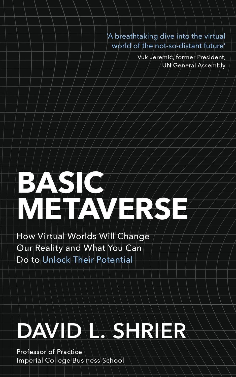 Cover: 9781472148148 | Basic Metaverse | David Shrier | Taschenbuch | Kartoniert / Broschiert