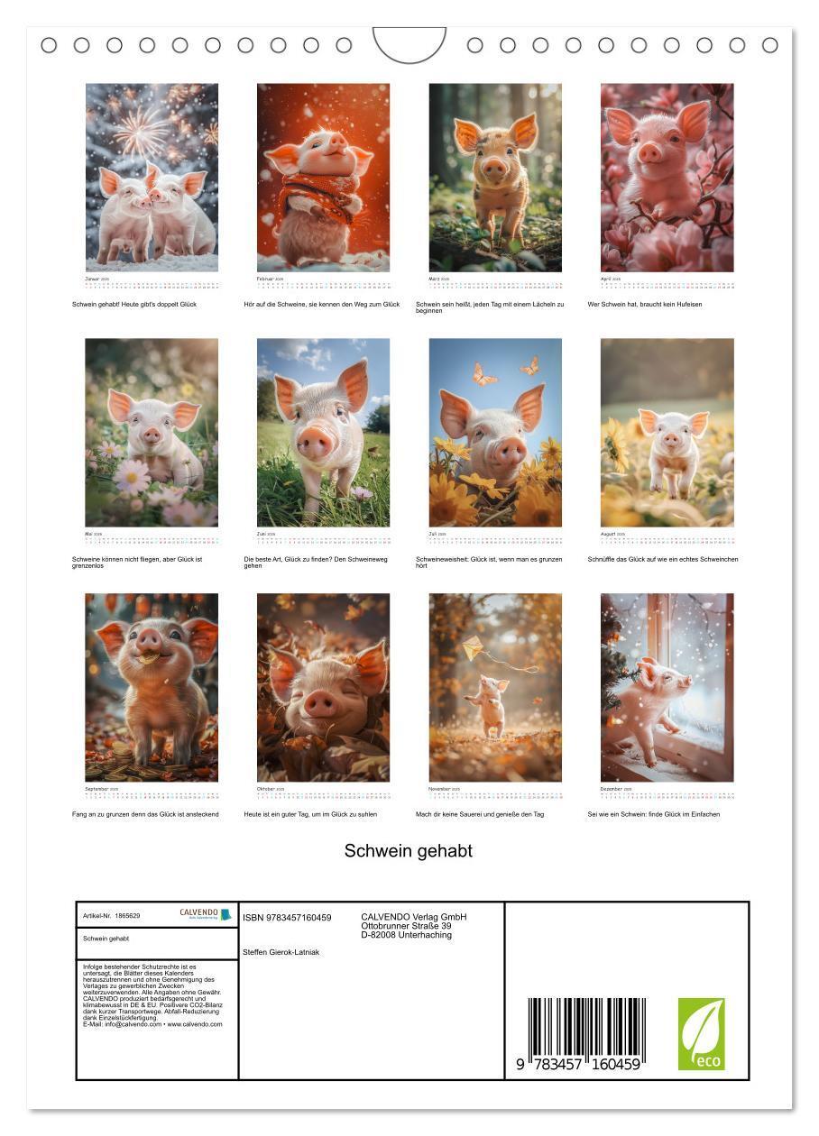 Bild: 9783457160459 | Schwein gehabt (Wandkalender 2025 DIN A4 hoch), CALVENDO...