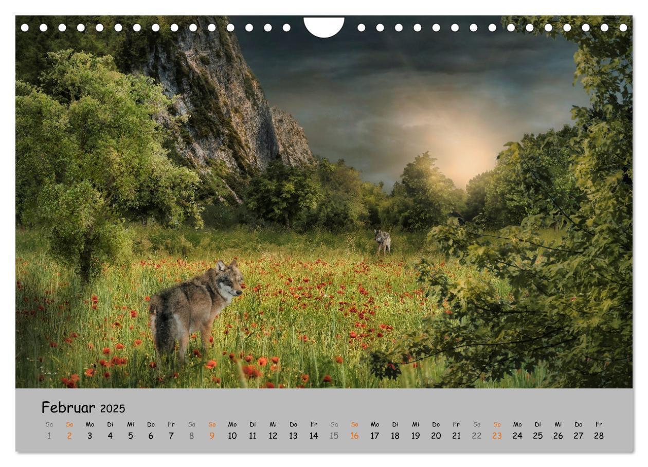 Bild: 9783435080076 | Der lange Weg der Wölfe (Wandkalender 2025 DIN A4 quer), CALVENDO...