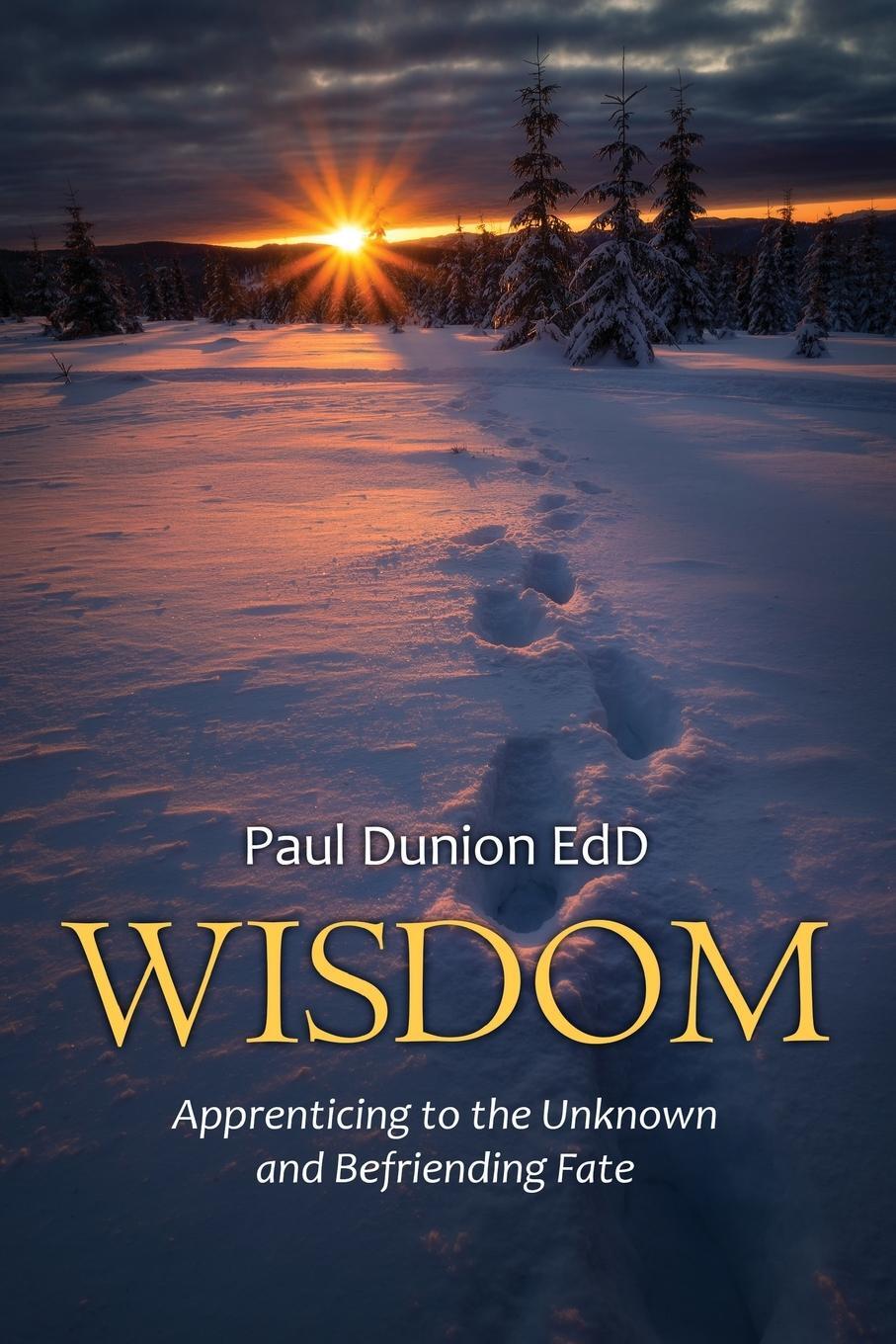 Cover: 9781662907357 | Wisdom | Apprenticing to the Unknown and Befriending Fate | Dunion