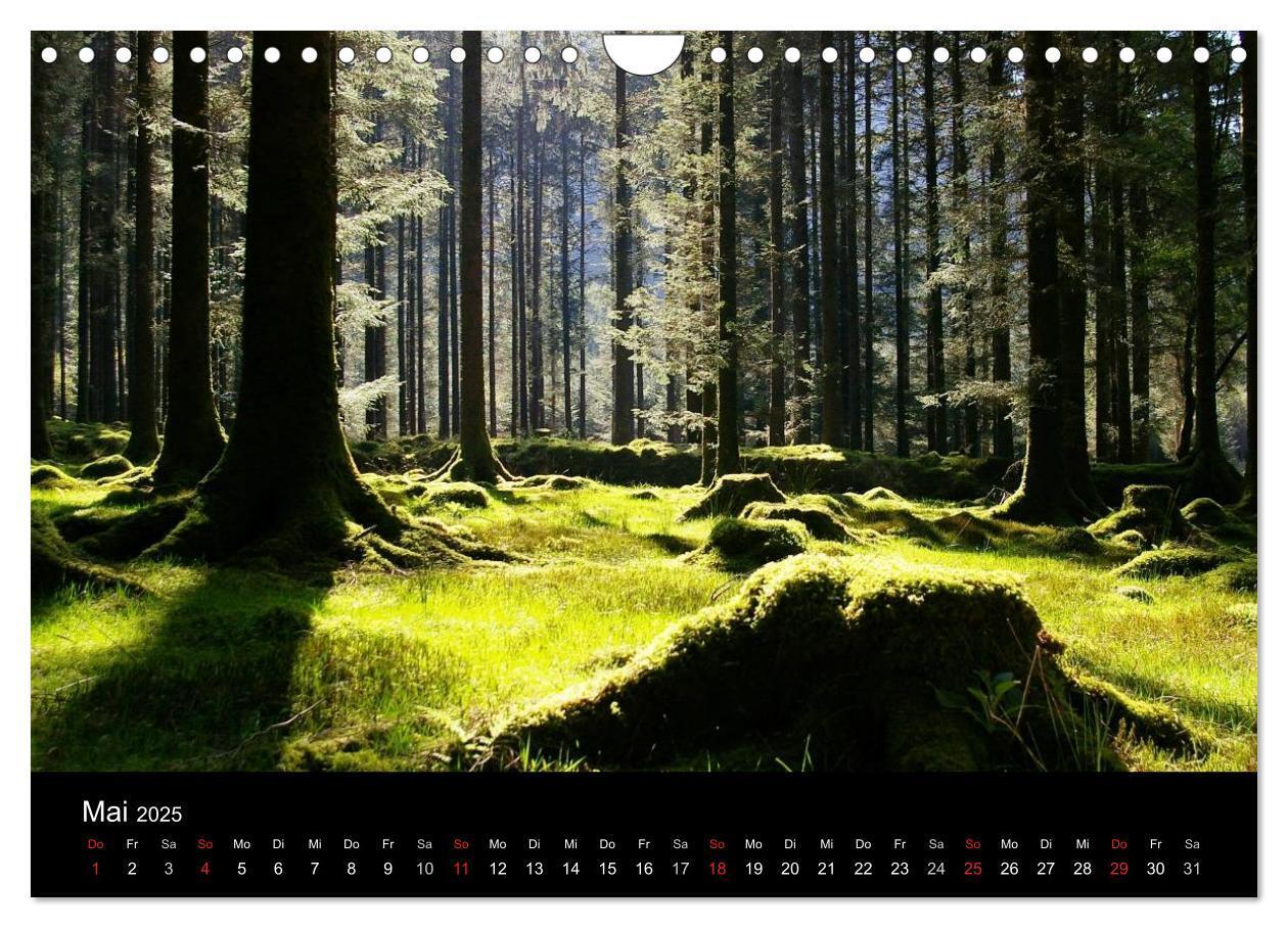 Bild: 9783435741854 | Irland County Cork (Wandkalender 2025 DIN A4 quer), CALVENDO...