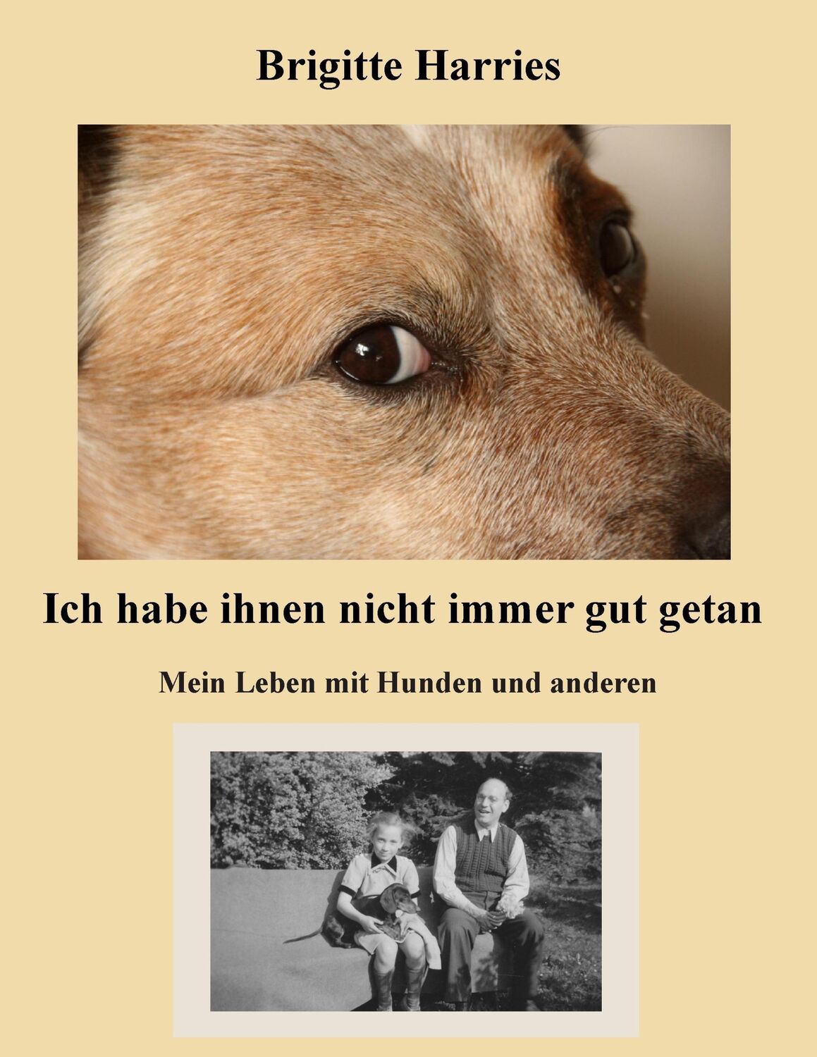 Cover: 9783739205885 | Ich habe ihnen nicht immer gut getan | Brigitte Harries | Taschenbuch