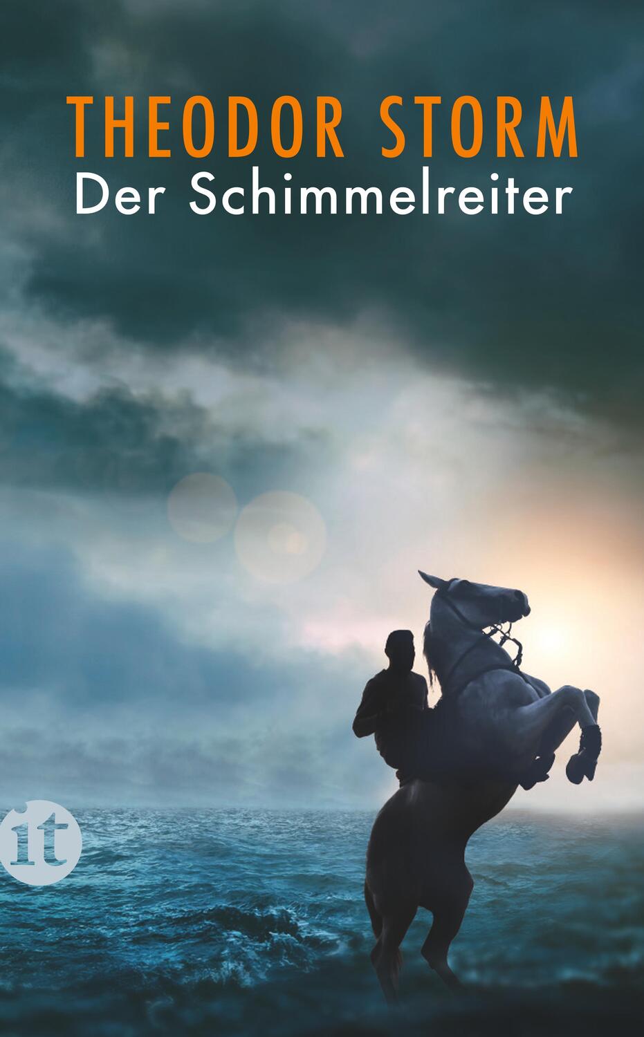 Cover: 9783458362166 | Der Schimmelreiter | Theodor Storm | Taschenbuch | Insel-Taschenbücher