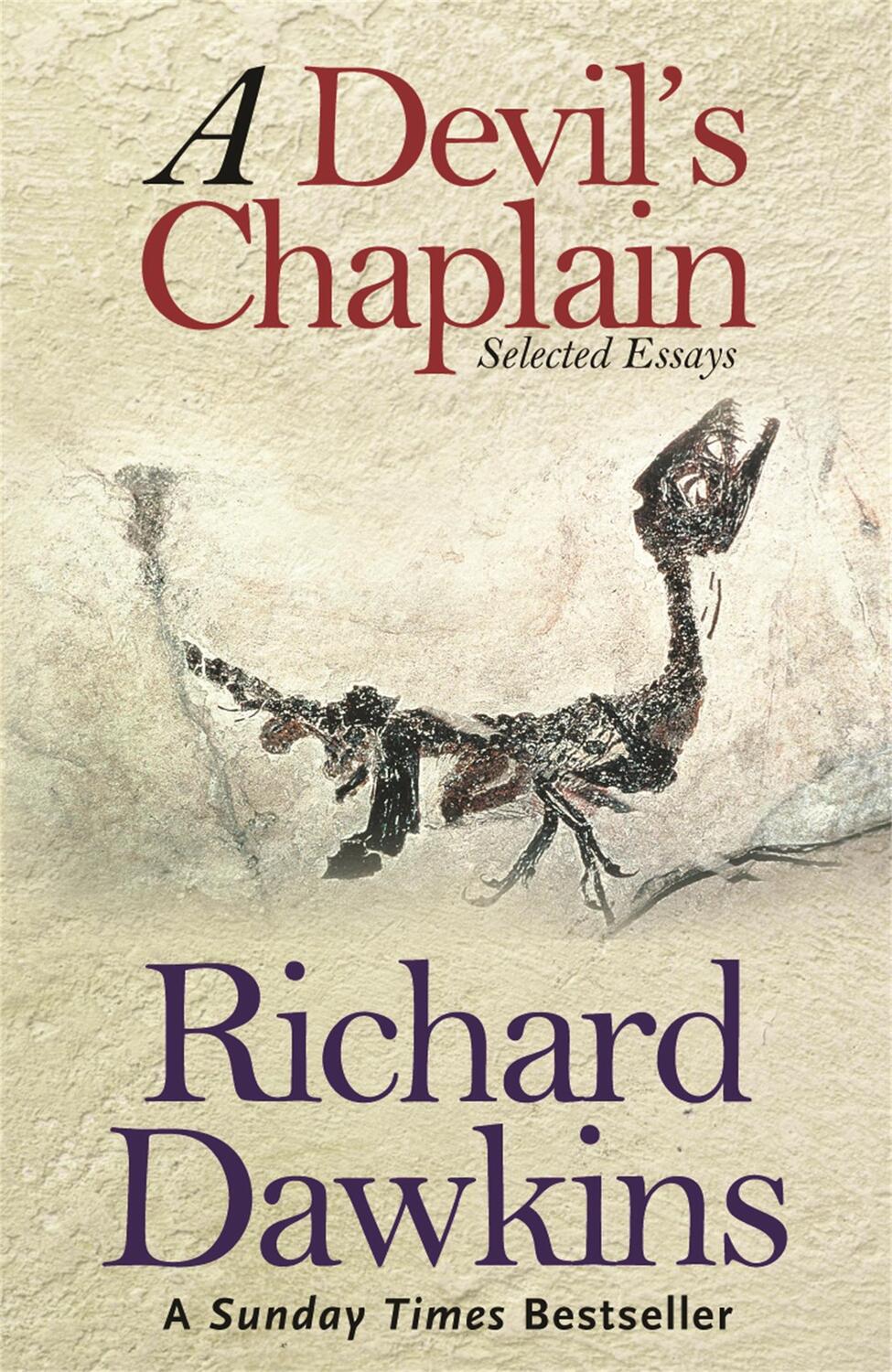 Cover: 9780753817506 | A Devil's Chaplain | Selected Writings | Richard Dawkins | Taschenbuch