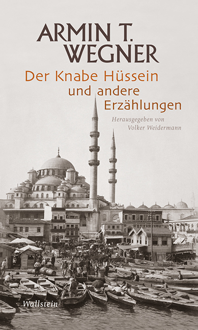 Cover: 9783835311046 | Der Knabe Hüssein und andere Erzählungen | Armin T Wegner | Buch