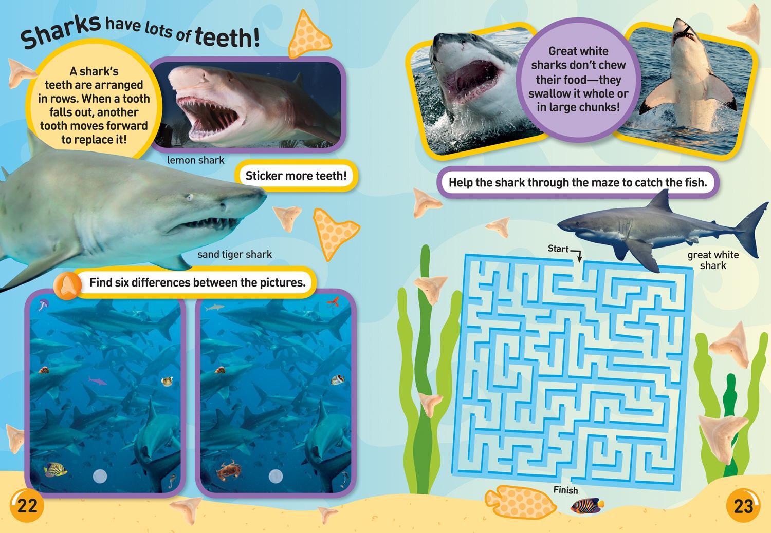 Bild: 9781426334238 | Ocean Animals Sticker Activity Book | Over 1,000 Stickers! | Buch