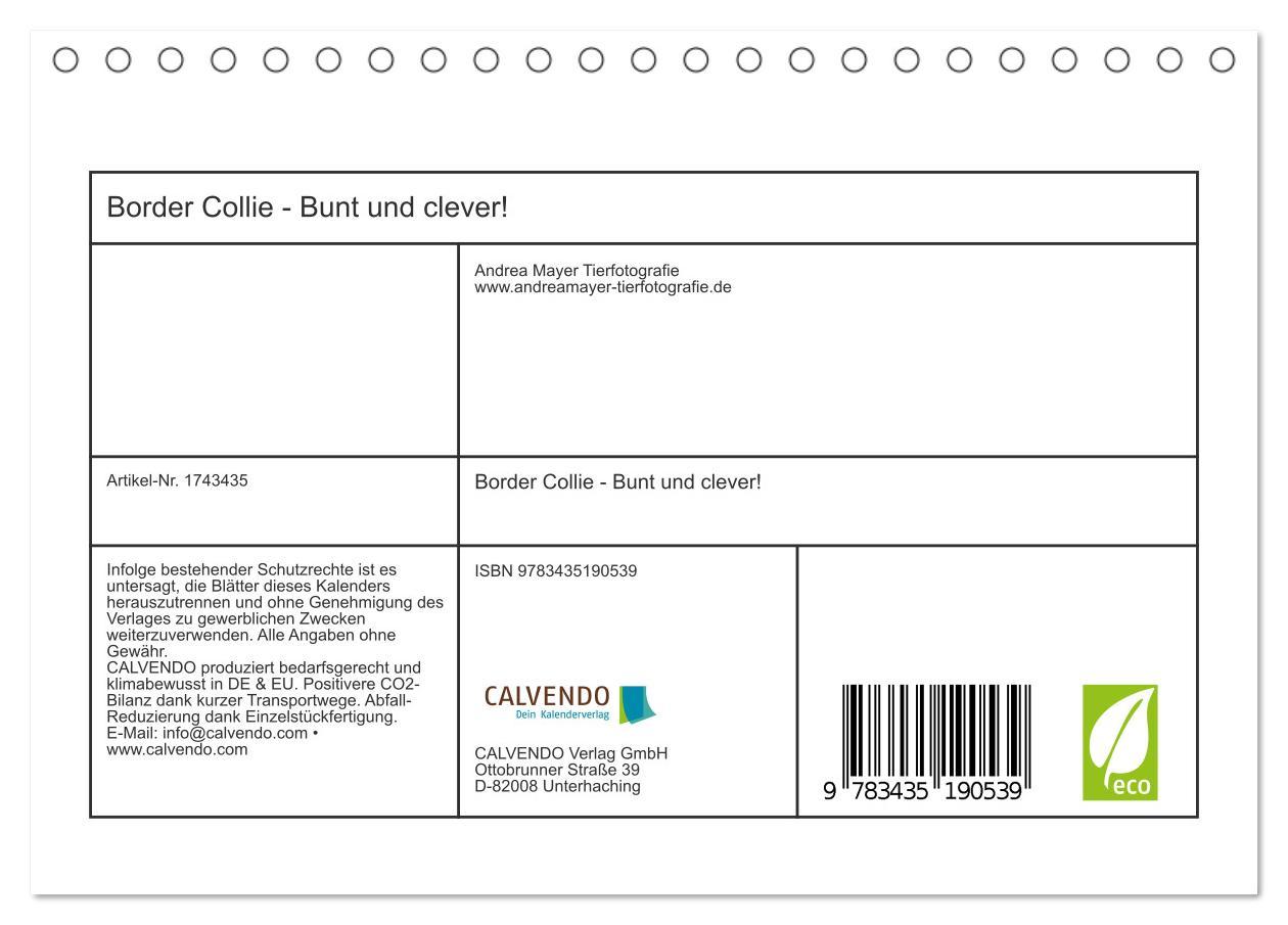 Bild: 9783435190539 | Border Collie - Bunt und clever! (Tischkalender 2025 DIN A5 quer),...