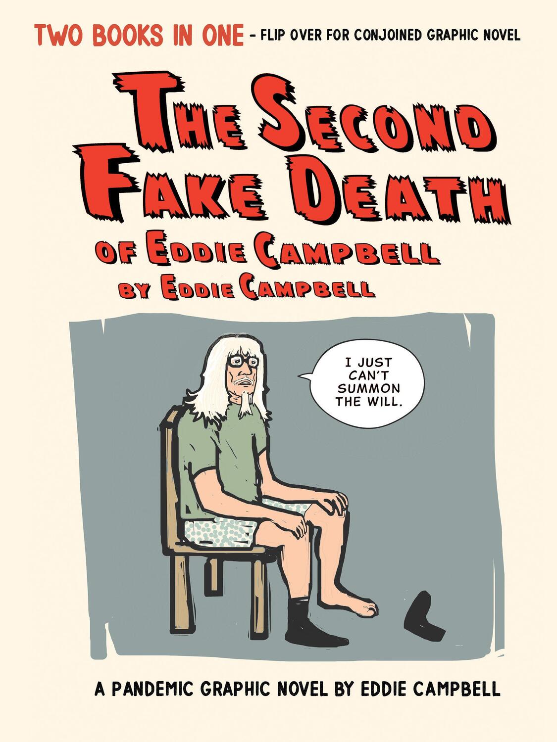 Cover: 9781603095242 | The Second Fake Death of Eddie Campbell &amp; The Fate of the Artist