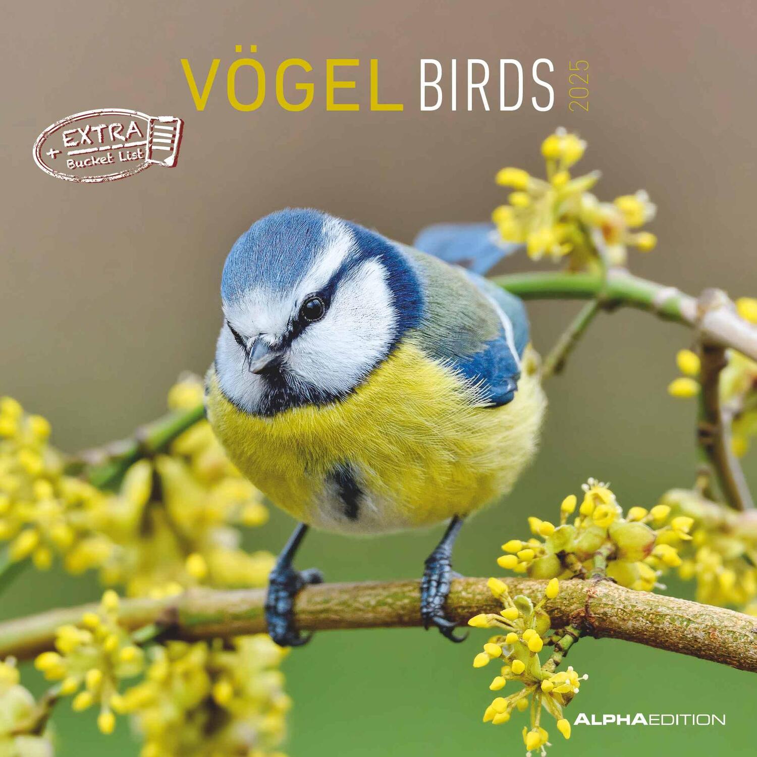 Cover: 4251732340728 | Vögel 2025 - Broschürenkalender 30x30 cm (30x60 geöffnet) -...