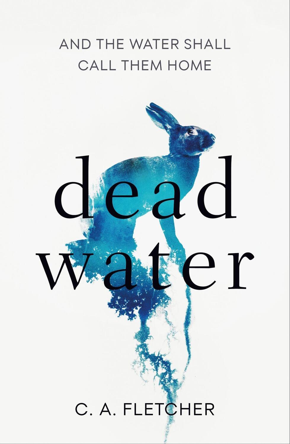 Cover: 9780356513843 | Dead Water | A novel of folk horror | C. A. Fletcher | Taschenbuch
