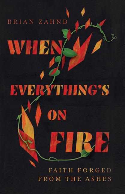 Cover: 9781514003336 | When Everything`s on Fire - Faith Forged from the Ashes | Brian Zahnd