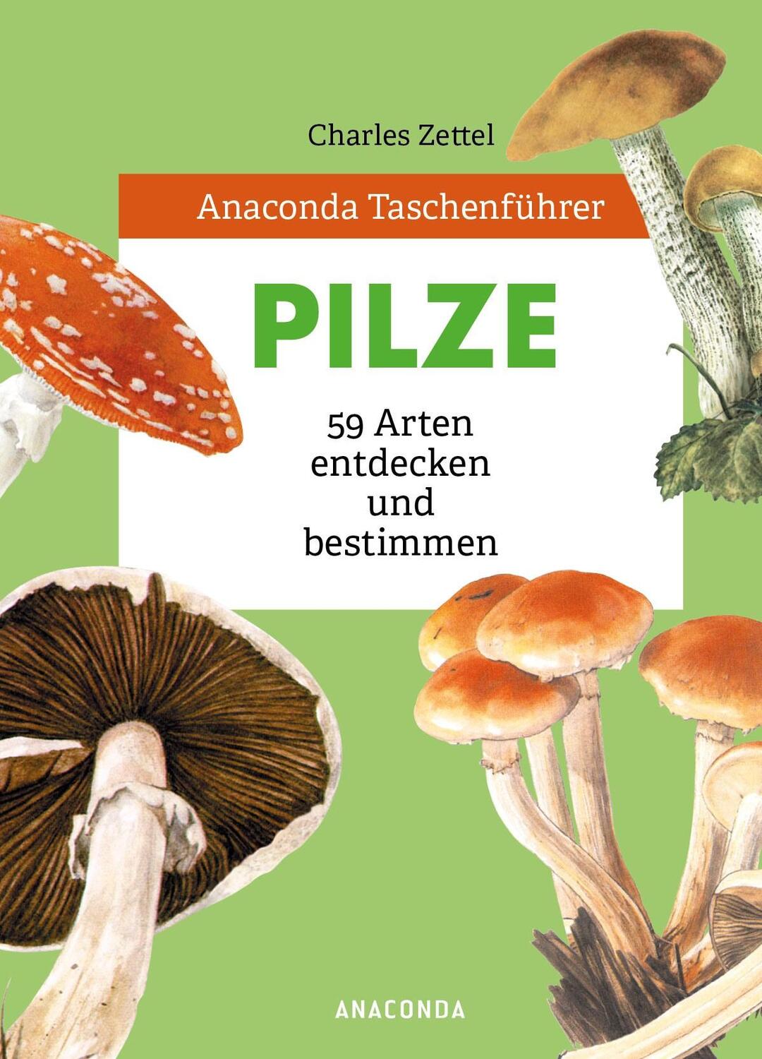 Cover: 9783730609002 | Anaconda Taschenführer Pilze. 59 Arten entdecken und bestimmen | Buch