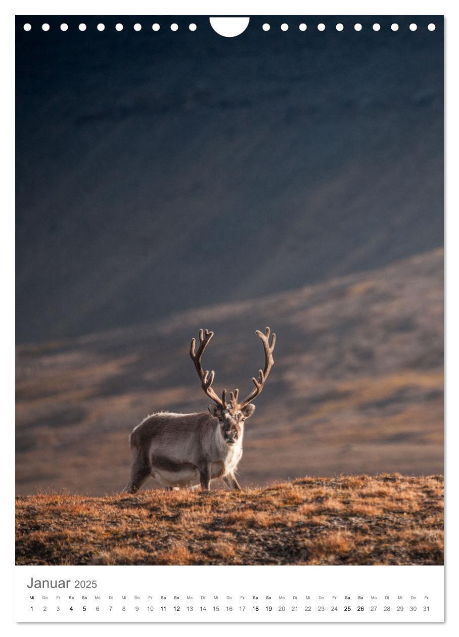 Bild: 9783435844821 | Die Arktis - Naturfotografien aus Spitzbergen (Wandkalender 2025...