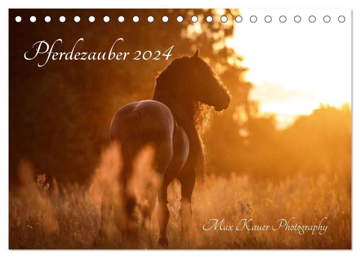Cover: 9783675820173 | Pferdezauber 2024 (Tischkalender 2024 DIN A5 quer), CALVENDO...