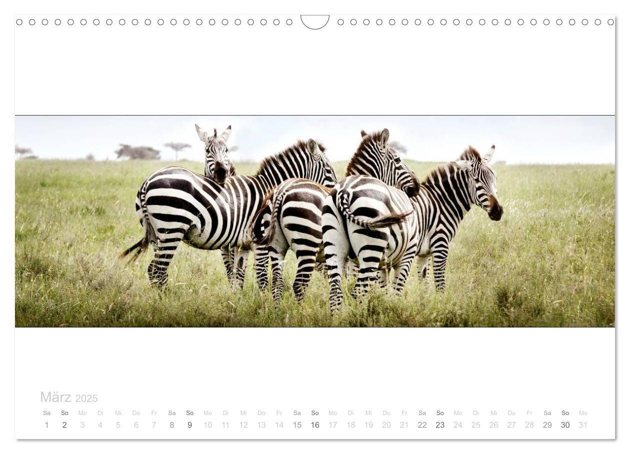 Bild: 9783435687145 | Serengeti Panorama (Wandkalender 2025 DIN A3 quer), CALVENDO...