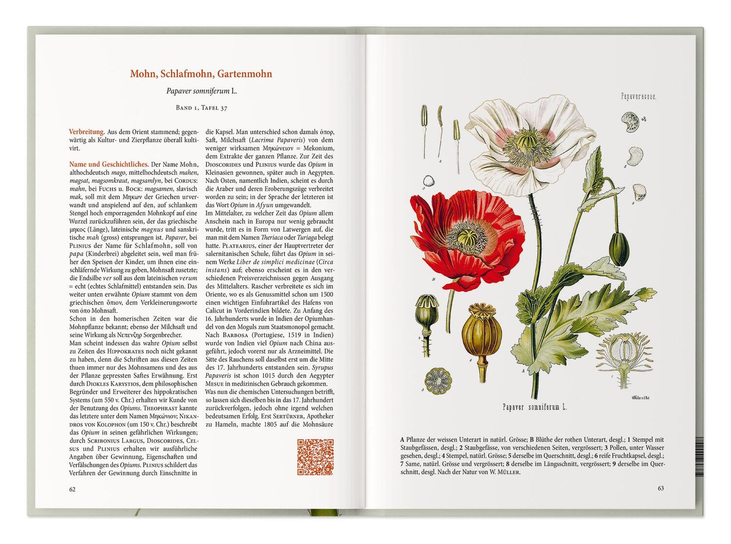 Bild: 9783968491158 | Der große Heilpflanzen-Atlas | Hermann Adolph Köhler | Buch | 240 S.
