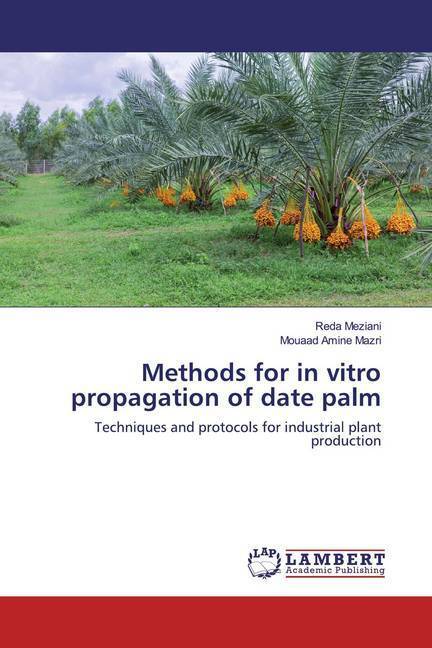 Cover: 9786200302298 | Methods for in vitro propagation of date palm | Mazri (u. a.) | Buch