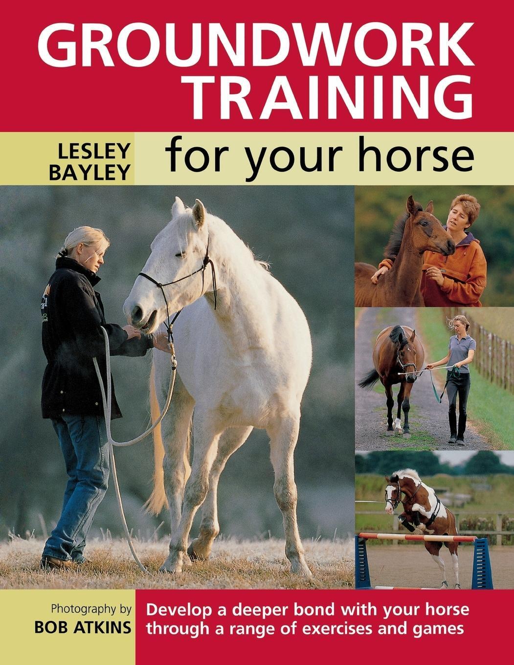 Cover: 9780715324417 | Groundwork Training for Your Horse | Lesley Bayley | Taschenbuch
