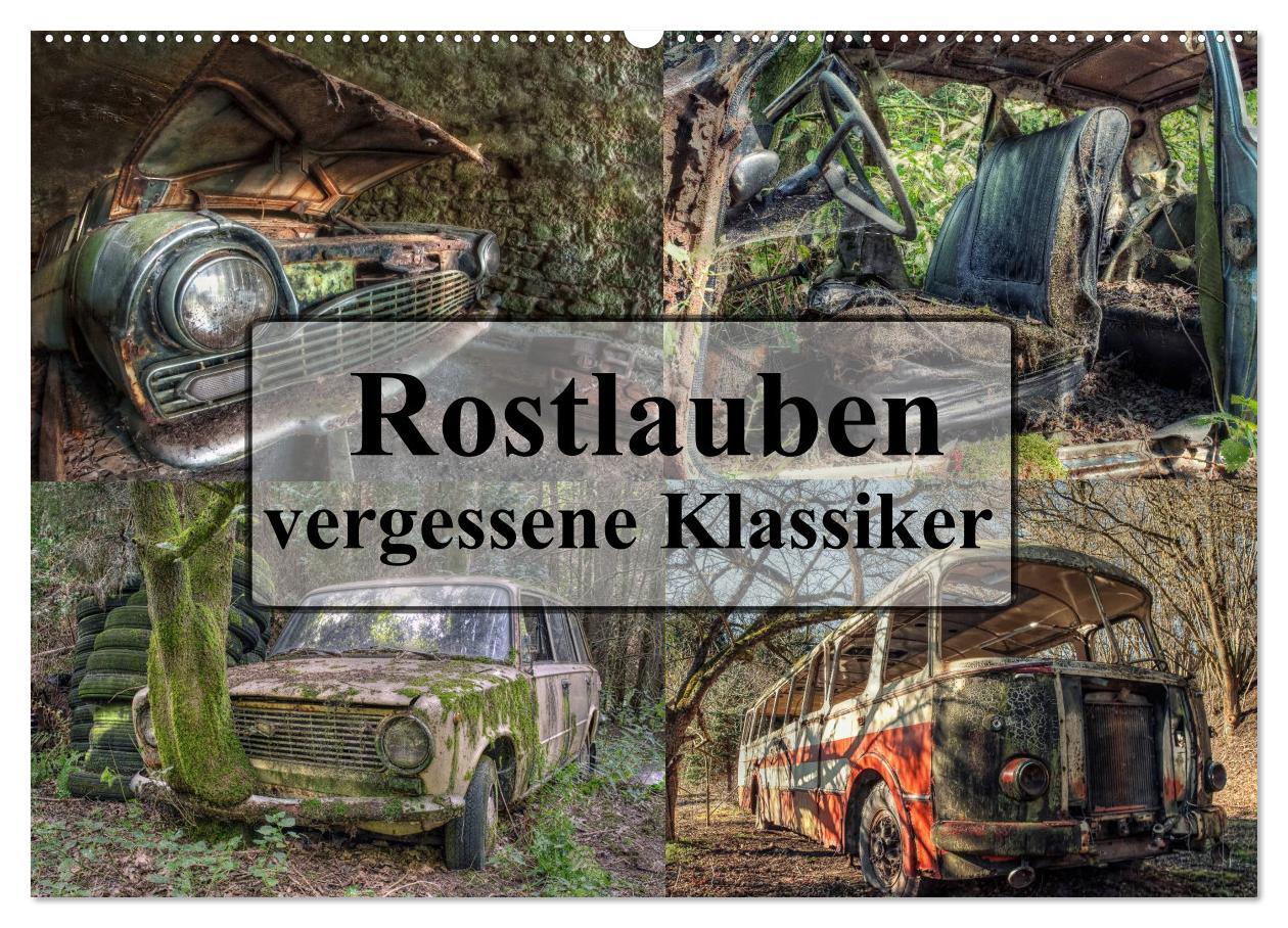 Cover: 9783435575237 | Rostlauben - vergessene Klassiker (Wandkalender 2025 DIN A2 quer),...