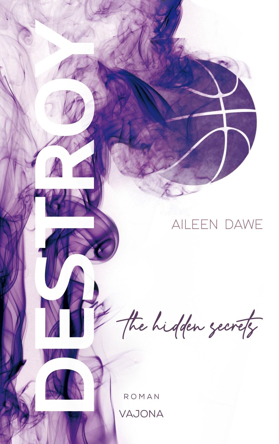 Cover: 9783987180408 | DESTROY the hidden secrets (DESTROY-Reihe 1) | Aileen Dawe | Buch