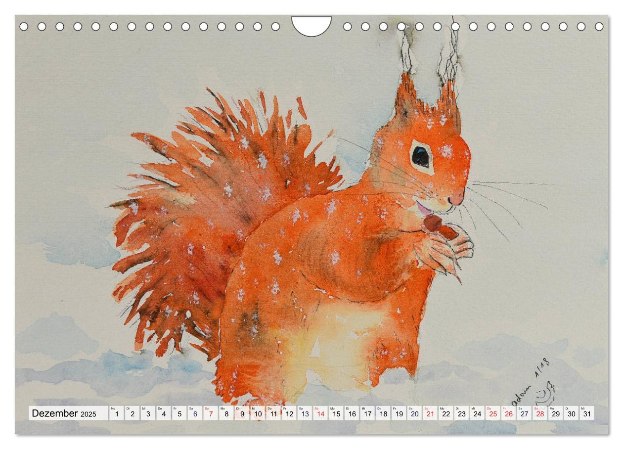 Bild: 9783435415663 | Eichhörnchen in Aquarell (Wandkalender 2025 DIN A4 quer), CALVENDO...