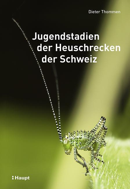 Cover: 9783258082097 | Jugendstadien der Heuschrecken der Schweiz | Dieter Thommen | Buch