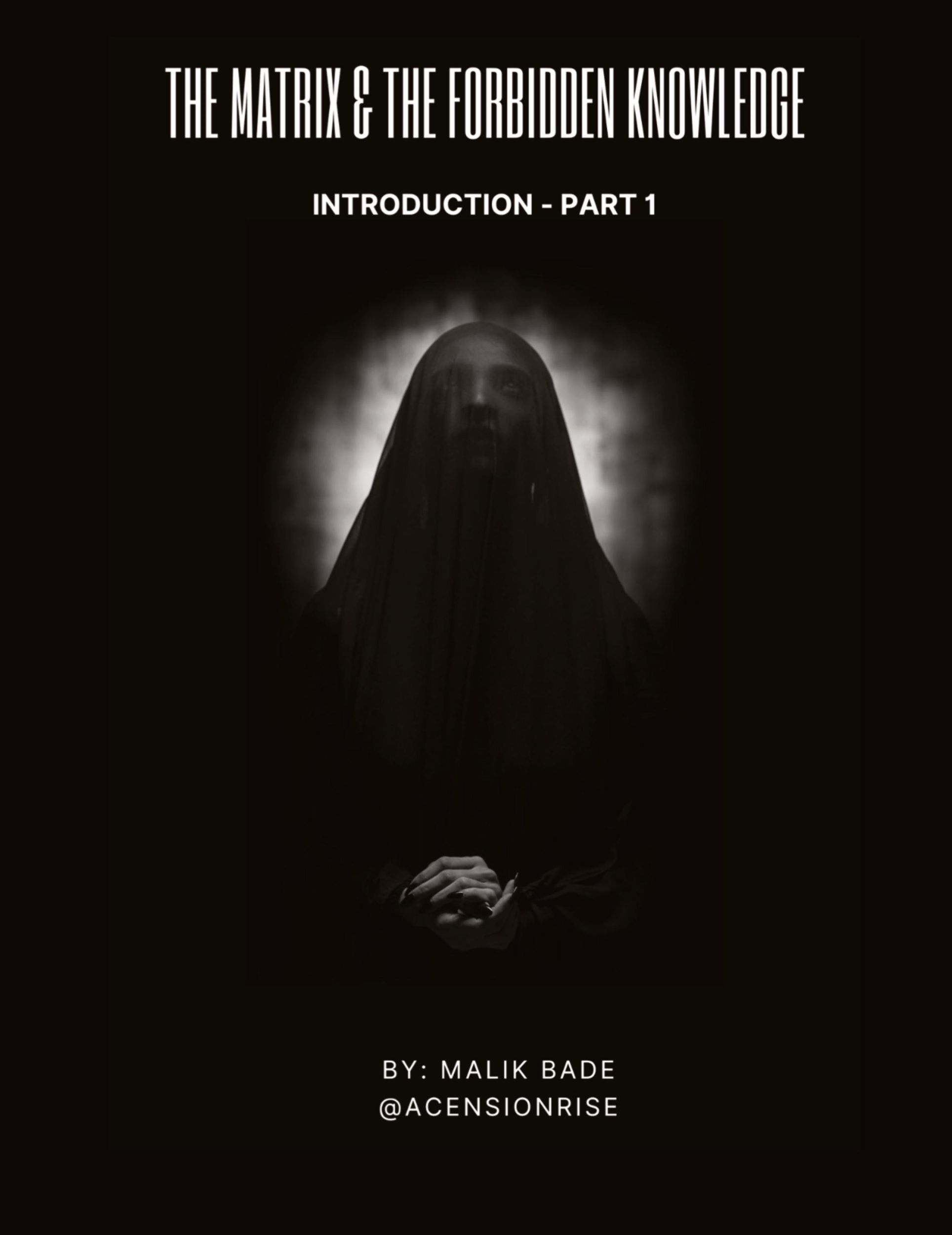 Cover: 9781738137732 | The Matrix &amp; The Forbidden Knowledge (Part 1) | Introduction | Bade