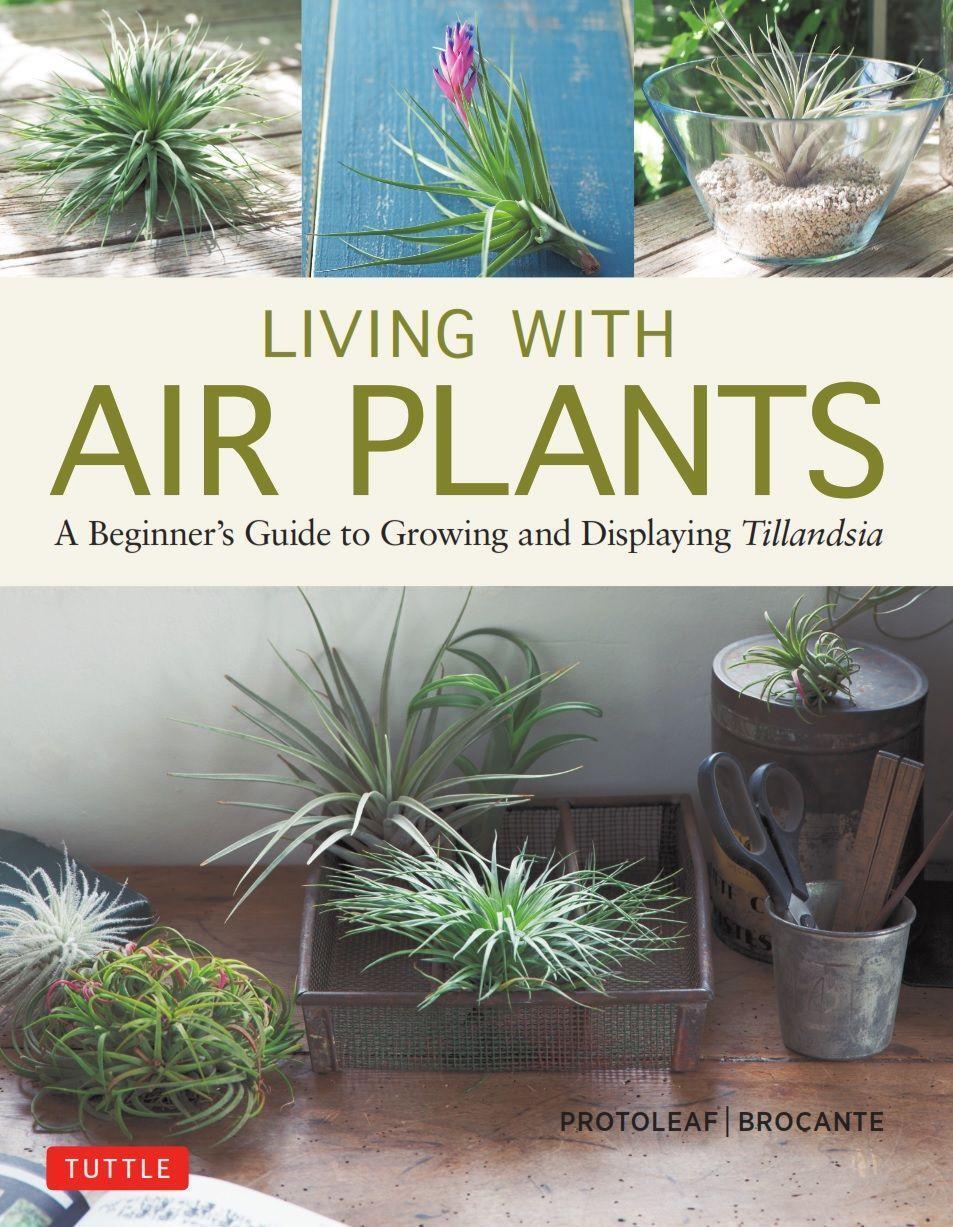 Cover: 9780804851046 | Living with Air Plants: A Beginner's Guide to Growing and...