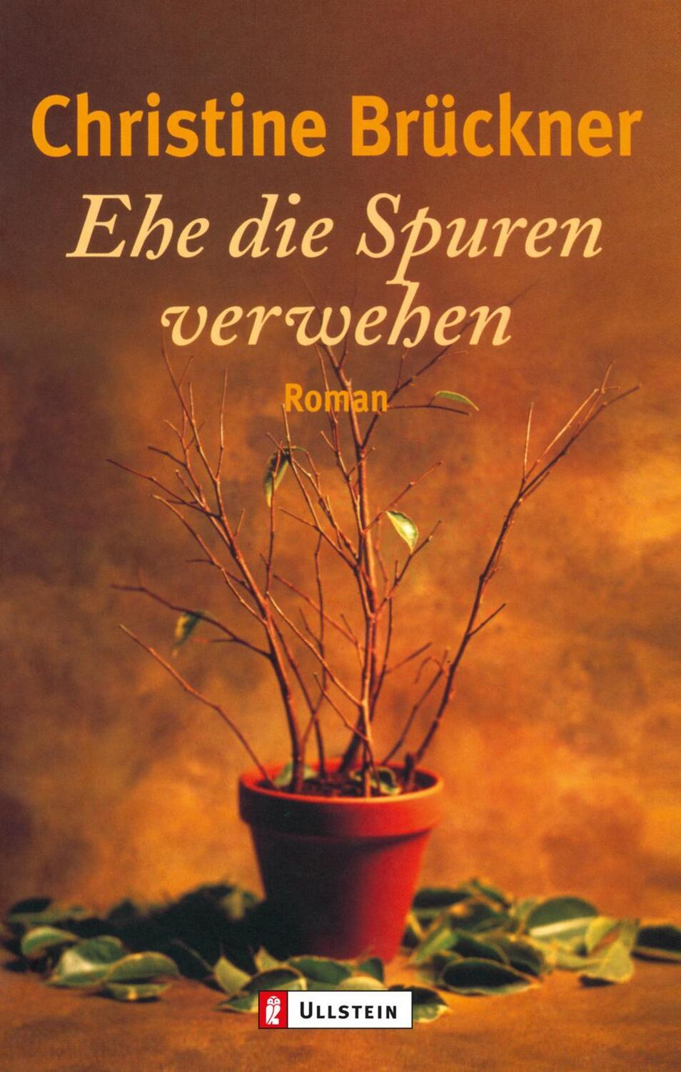 Cover: 9783548224367 | Ehe die Spuren verwehen | Christine Brückner | Taschenbuch | Deutsch