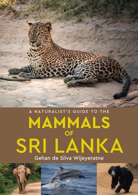 Cover: 9781912081448 | A Naturalist's Guide to the Mammals of Sri Lanka | Wijeyeratne | Buch