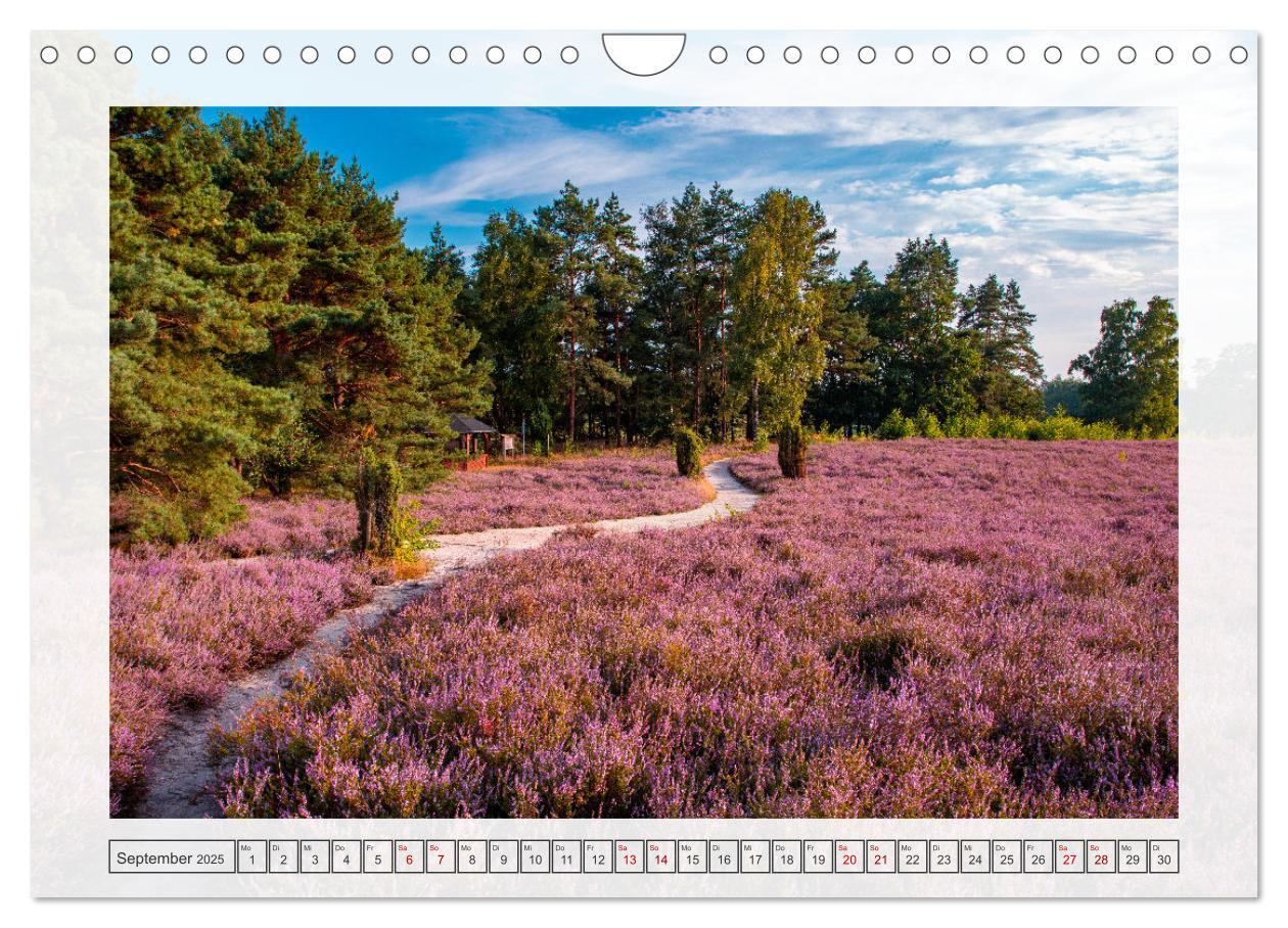 Bild: 9783457243060 | Naturpark Dümmer (Wandkalender 2025 DIN A4 quer), CALVENDO...