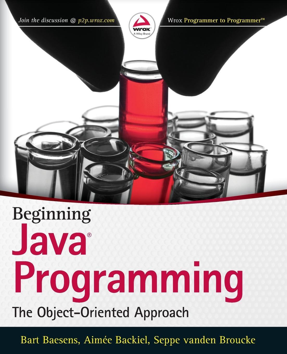 Cover: 9781118739495 | Beginning Java Programming | Bart Baesens | Taschenbuch | Paperback